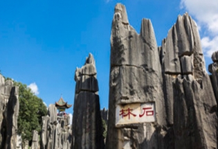 丝瓜视频导航家具-昆明分公司